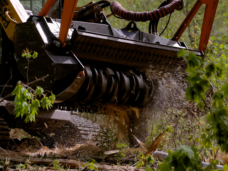KNS LandWorx crew clearing property