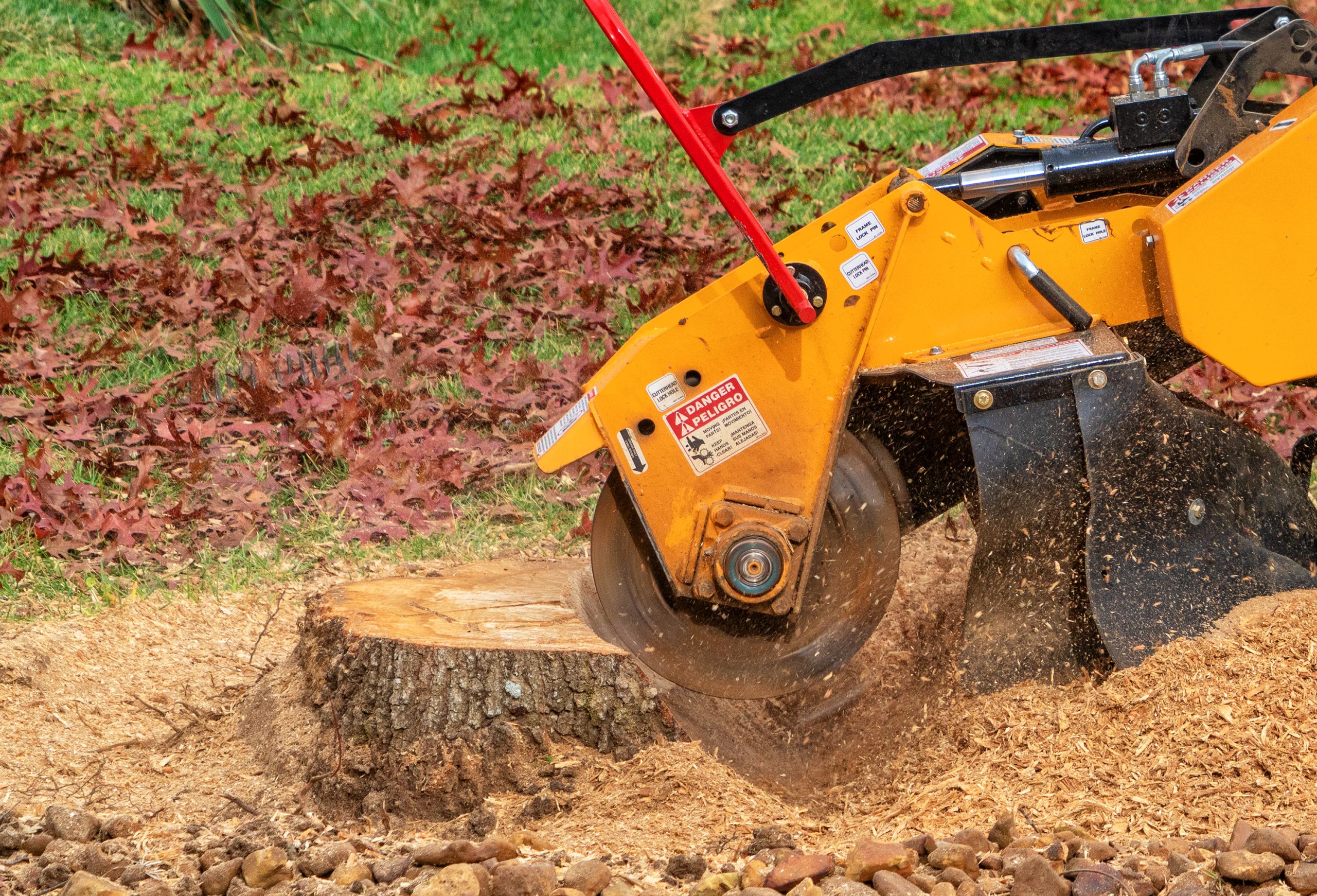 Stump Grinding & Professional Tree Removal