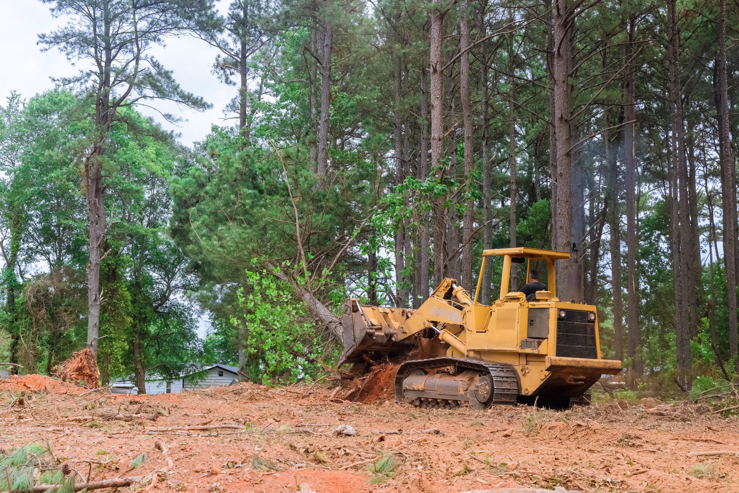 Land Clearing & Brush Removal